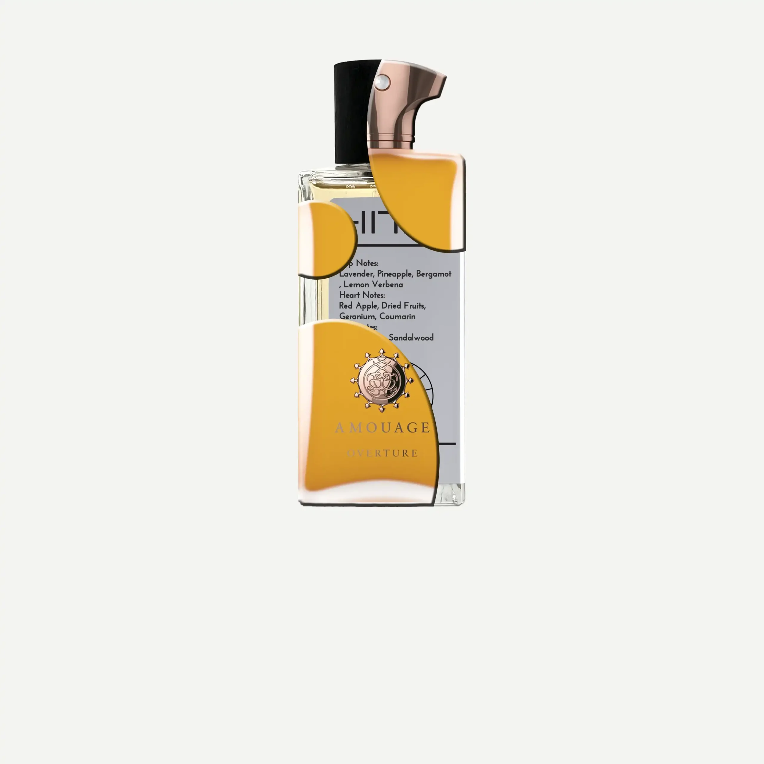 عطر ادکلن آمواج اورتور مردانه | Amouage Overture Man